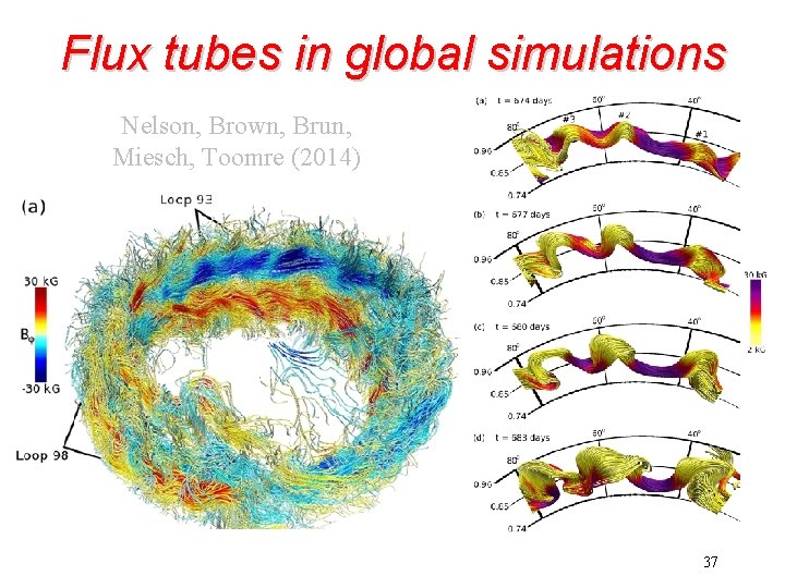 Flux tubes in global simulations Nelson, Brown, Brun, Miesch, Toomre (2014) 37 