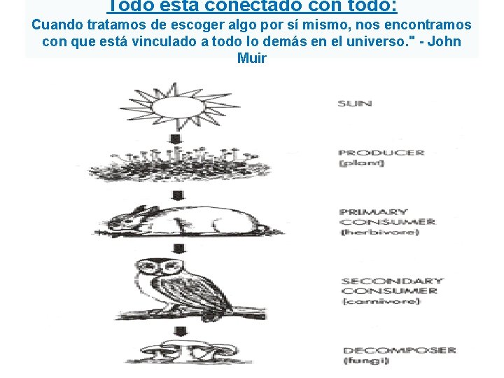 Todo está conectado con todo: Cuando tratamos de escoger algo por sí mismo, nos