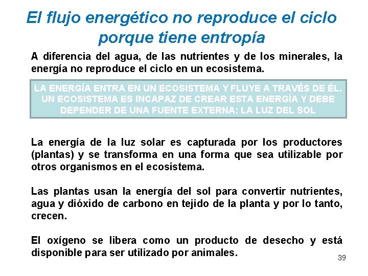 El flujo energético no reproduce el ciclo porque tiene entropía A diferencia del agua,