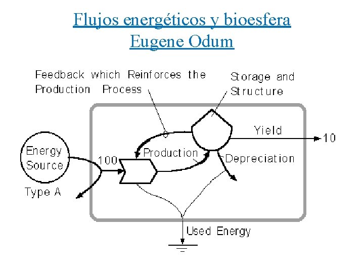 Flujos energéticos y bioesfera Eugene Odum 