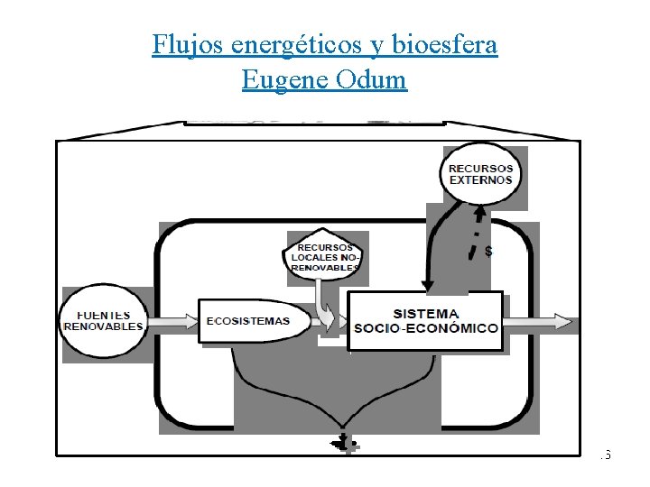 Flujos energéticos y bioesfera Eugene Odum 46 
