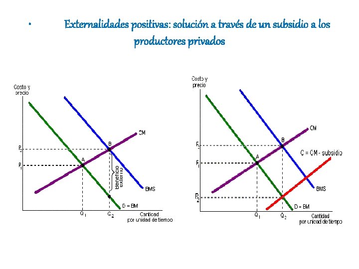  • Externalidades positivas: solución a través de un subsidio a los productores privados