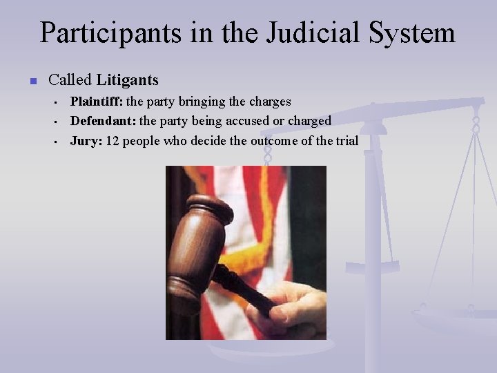 Participants in the Judicial System n Called Litigants • • • Plaintiff: the party