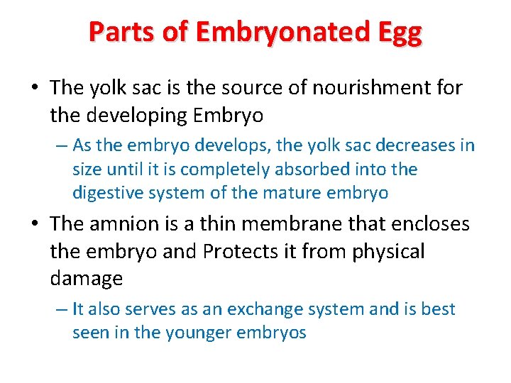 Parts of Embryonated Egg • The yolk sac is the source of nourishment for
