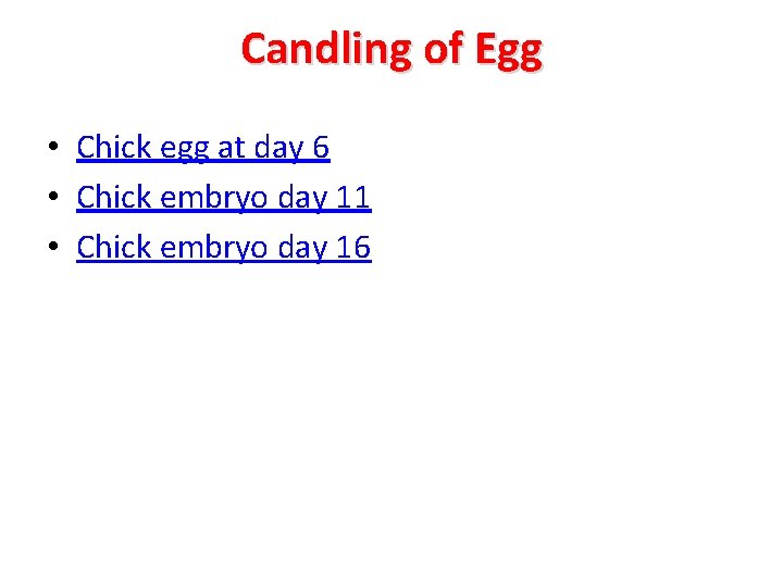 Candling of Egg • Chick egg at day 6 • Chick embryo day 11