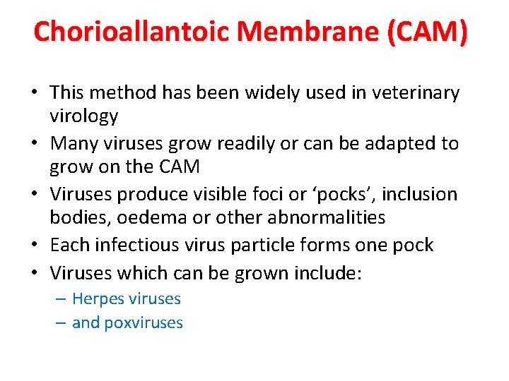 Chorioallantoic Membrane (CAM) • This method has been widely used in veterinary virology •