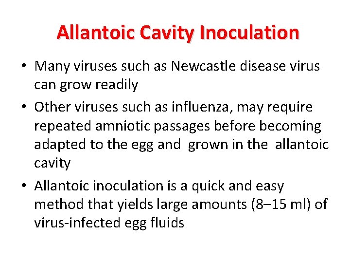 Allantoic Cavity Inoculation • Many viruses such as Newcastle disease virus can grow readily