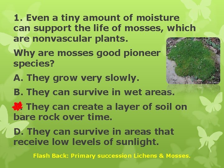 1. Even a tiny amount of moisture can support the life of mosses, which