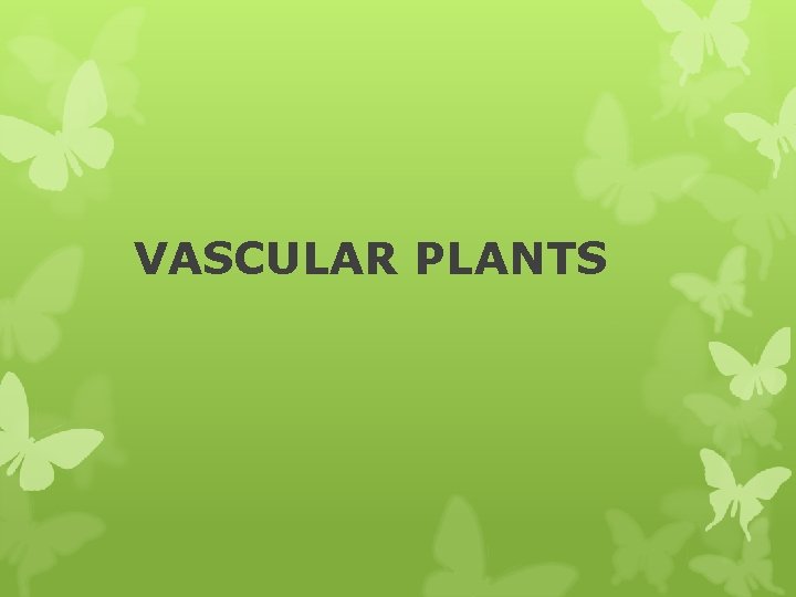 VASCULAR PLANTS 