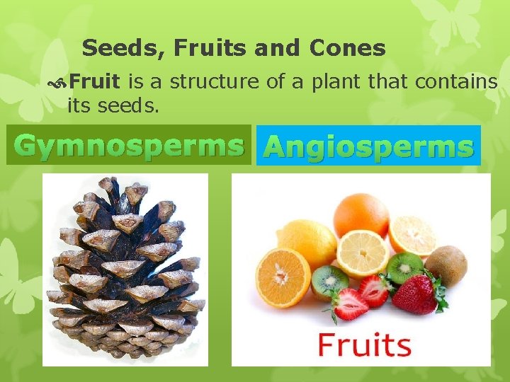 Seeds, Fruits and Cones Fruit is a structure of a plant that contains its