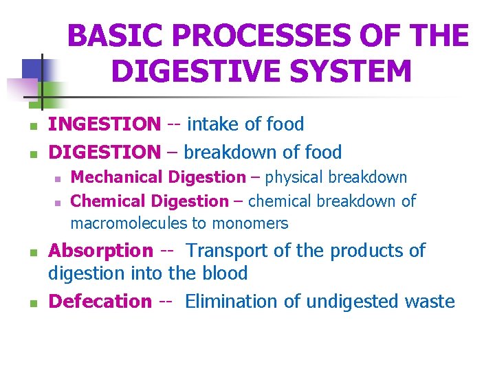 BASIC PROCESSES OF THE DIGESTIVE SYSTEM n n INGESTION -- intake of food DIGESTION