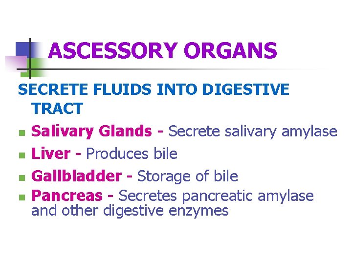 ASCESSORY ORGANS SECRETE FLUIDS INTO DIGESTIVE TRACT n Salivary Glands - Secrete salivary amylase