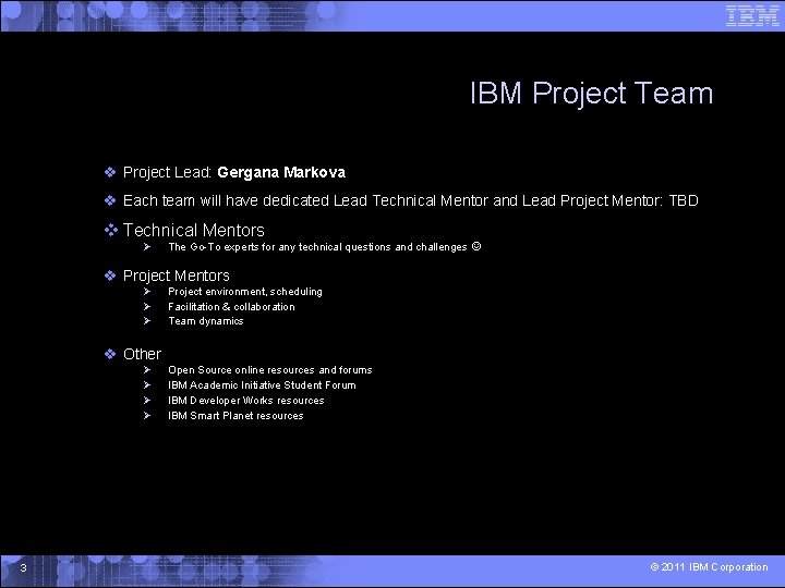 IBM Project Team Project Lead: Gergana Markova Each team will have dedicated Lead Technical