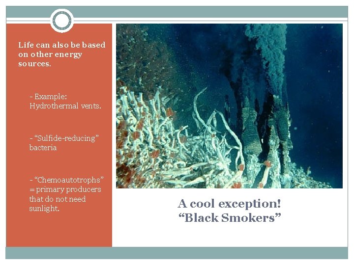 Life can also be based on other energy sources. § - Example: Hydrothermal vents.