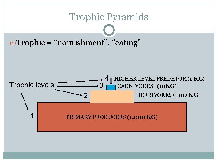 Trophic Pyramids Trophic = “nourishment”, “eating” Trophic levels 3 2 1 4 HIGHER LEVEL