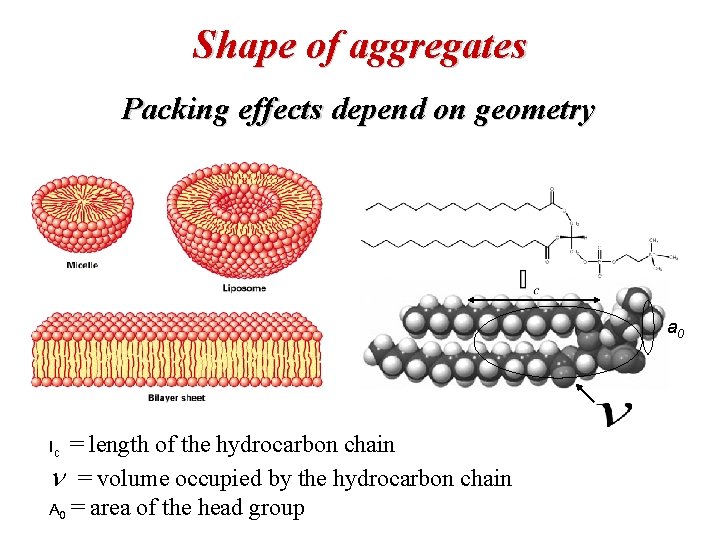 Shape of aggregates Packing effects depend on geometry a 0 = length of the