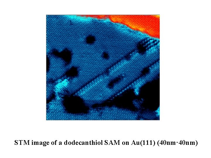 STM image of a dodecanthiol SAM on Au(111) (40 nm· 40 nm) 