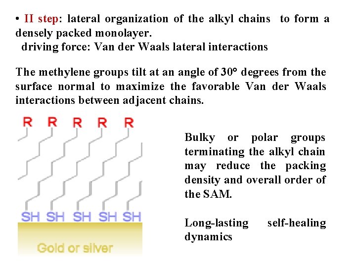  • II step: lateral organization of the alkyl chains to form a densely