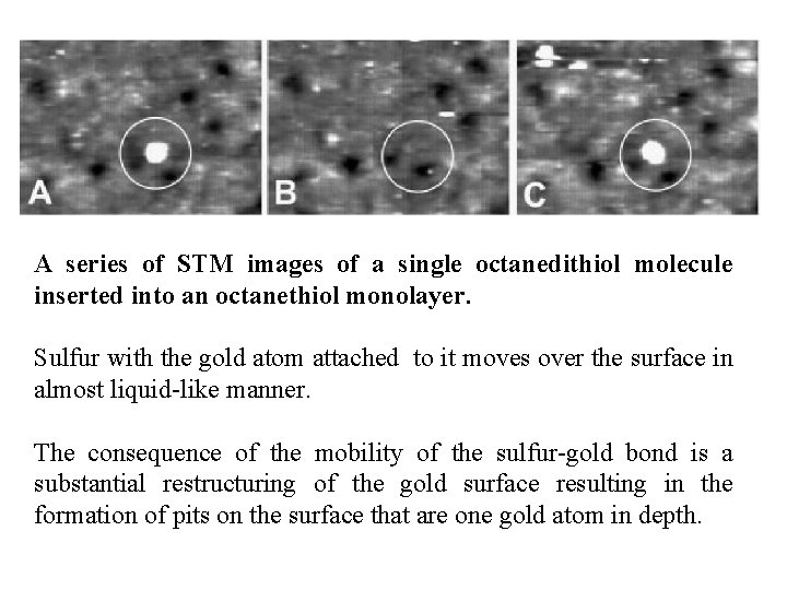 A series of STM images of a single octanedithiol molecule inserted into an octanethiol