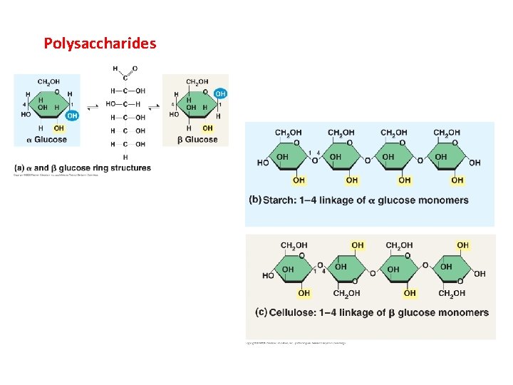 Polysaccharides 