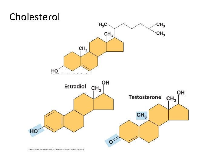 Cholesterol 