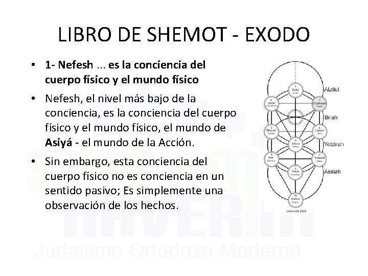 LIBRO DE SHEMOT - EXODO • 1 - Nefesh. . . es la conciencia