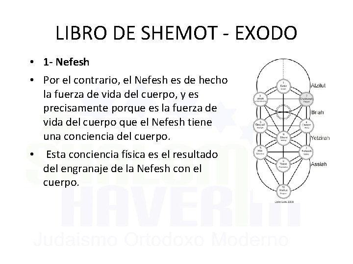 LIBRO DE SHEMOT - EXODO • 1 - Nefesh • Por el contrario, el