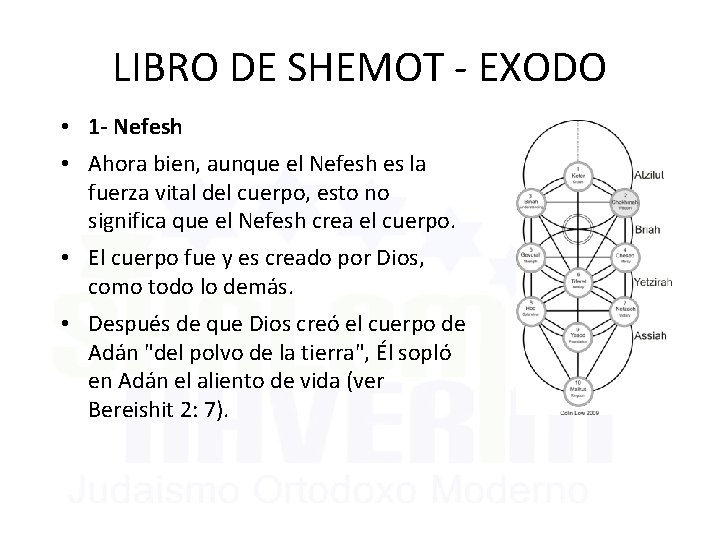 LIBRO DE SHEMOT - EXODO • 1 - Nefesh • Ahora bien, aunque el