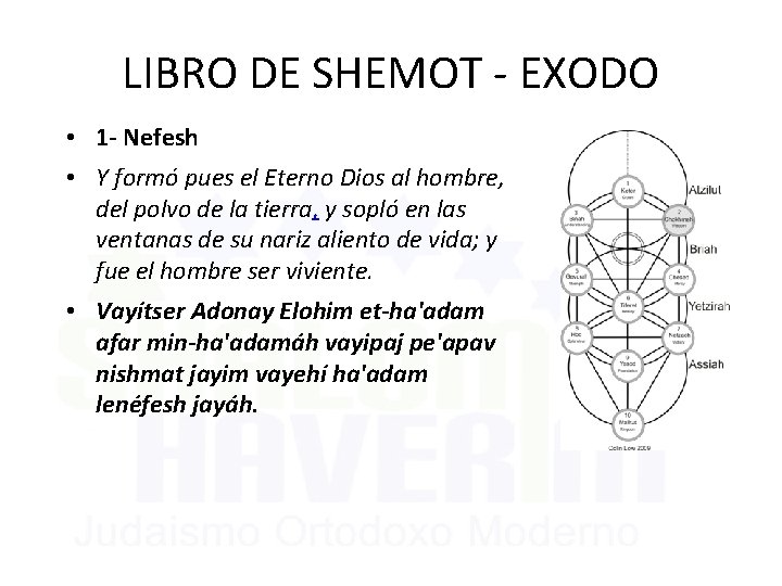 LIBRO DE SHEMOT - EXODO • 1 - Nefesh • Y formó pues el