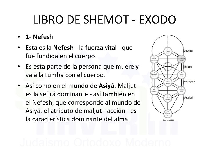 LIBRO DE SHEMOT - EXODO • 1 - Nefesh • Esta es la Nefesh