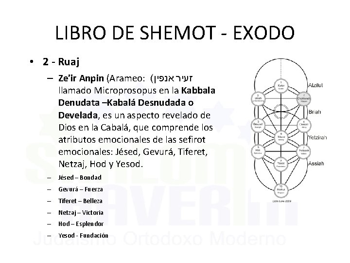 LIBRO DE SHEMOT - EXODO • 2 - Ruaj – Ze'ir Anpin (Arameo: (