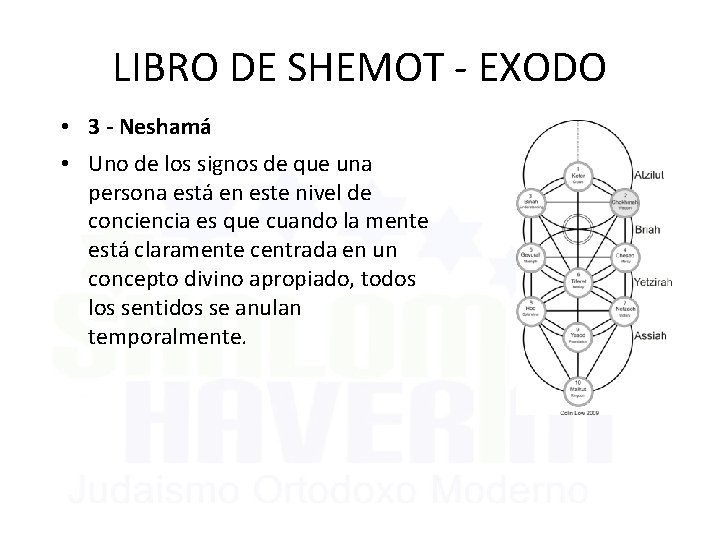 LIBRO DE SHEMOT - EXODO • 3 - Neshamá • Uno de los signos