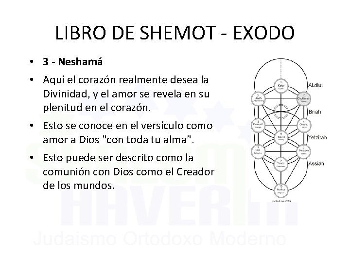 LIBRO DE SHEMOT - EXODO • 3 - Neshamá • Aquí el corazón realmente