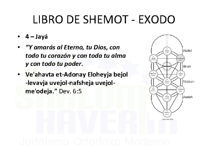 LIBRO DE SHEMOT - EXODO • 4 – Jayá • “Y amarás al Eterno,