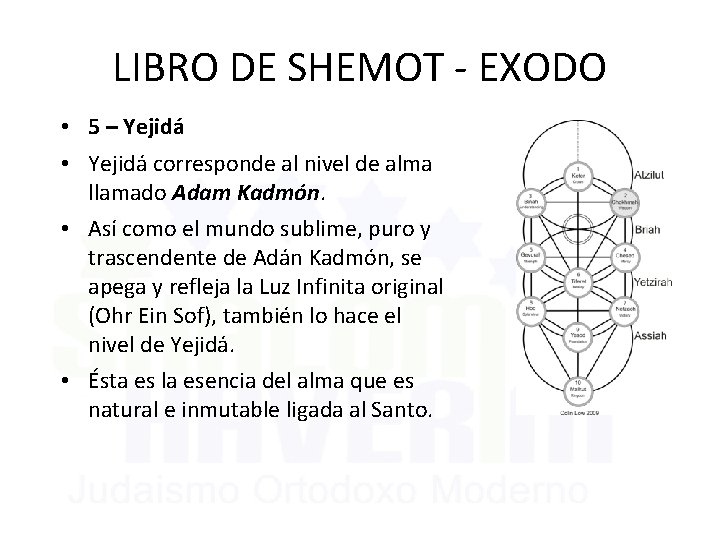 LIBRO DE SHEMOT - EXODO • 5 – Yejidá • Yejidá corresponde al nivel