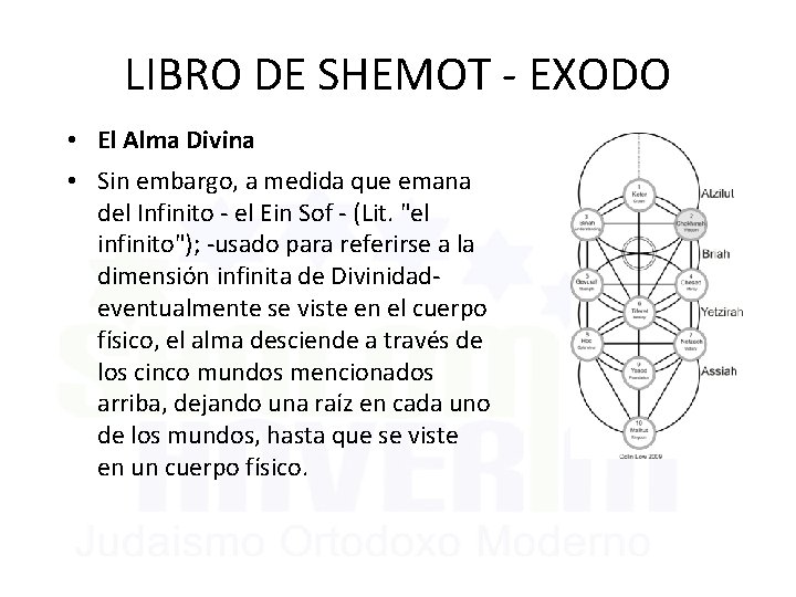 LIBRO DE SHEMOT - EXODO • El Alma Divina • Sin embargo, a medida