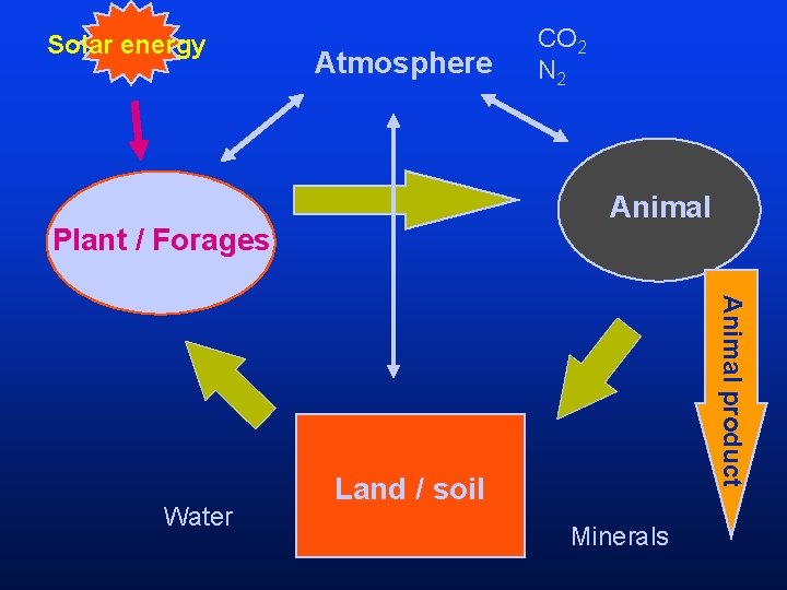 Solar energy Atmosphere Animal Plant / Forages Animal product Water CO 2 N 2