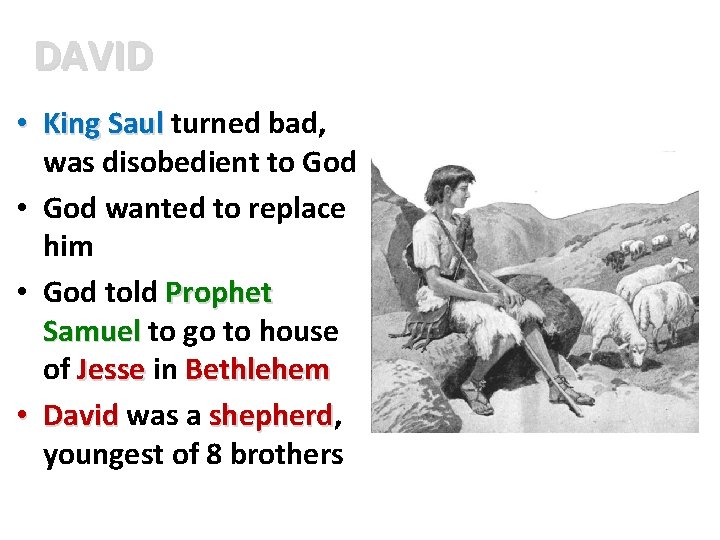 DAVID • King Saul turned bad, was disobedient to God • God wanted to