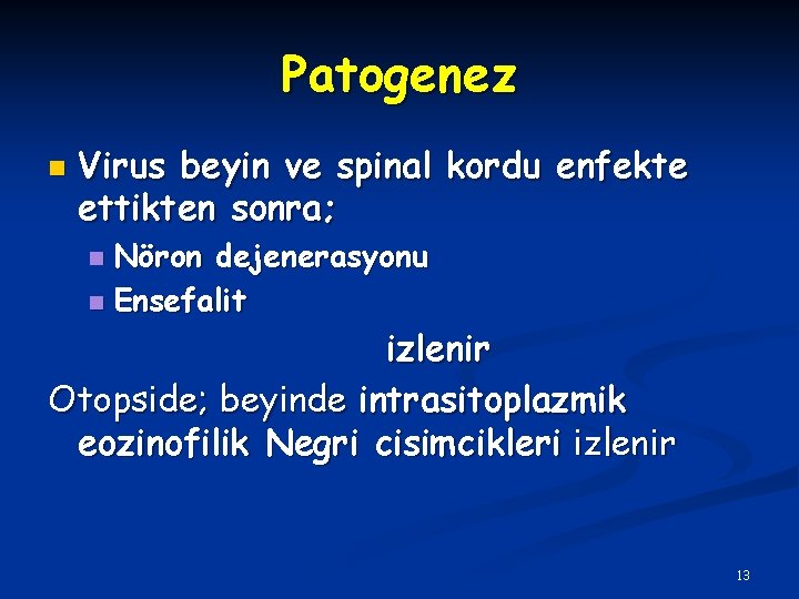 Patogenez n Virus beyin ve spinal kordu enfekte ettikten sonra; Nöron dejenerasyonu n Ensefalit