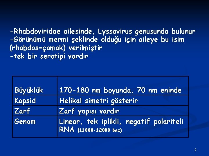 -Rhabdoviridae ailesinde, Lyssavirus genusunda bulunur -Görünümü mermi şeklinde olduğu için aileye bu isim (rhabdos=çomak)