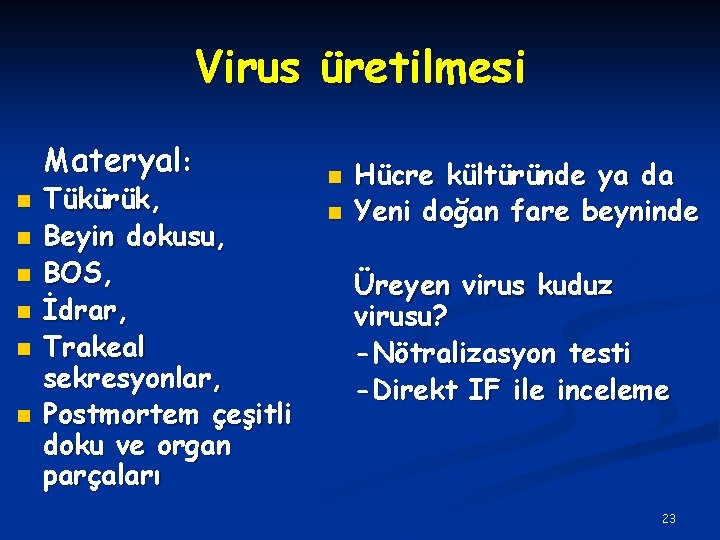 Virus üretilmesi Materyal: n n n Tükürük, Beyin dokusu, BOS, İdrar, Trakeal sekresyonlar, Postmortem