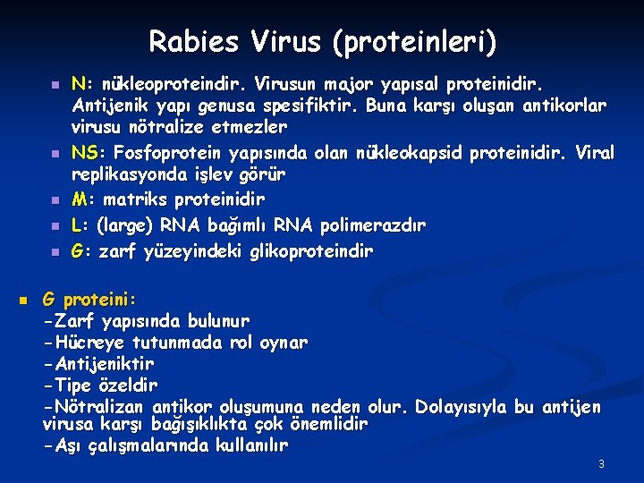 Rabies Virus (proteinleri) n n n N: nükleoproteindir. Virusun major yapısal proteinidir. Antijenik yapı