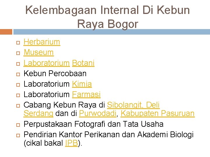 Kelembagaan Internal Di Kebun Raya Bogor Herbarium Museum Laboratorium Botani Kebun Percobaan Laboratorium Kimia