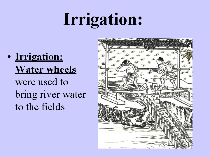 Irrigation: • Irrigation: Water wheels were used to bring river water to the fields
