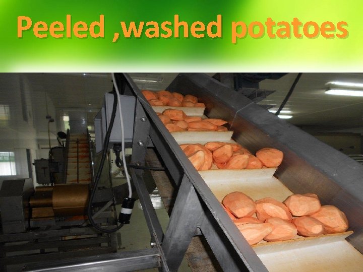 Peeled , washed potatoes 