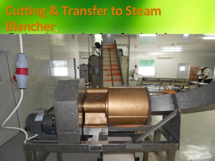 Cutting & Transfer to Steam Blancher. Font, size, and color for text have been