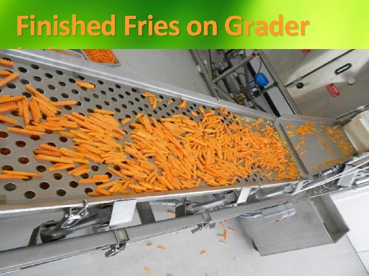 Finished Fries on Grader belt Example of a slide with a subhead Subtitle color