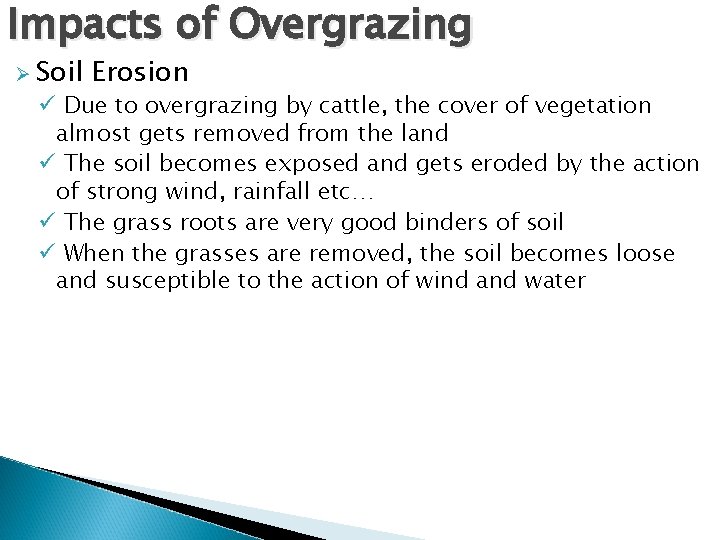 Impacts of Overgrazing Ø Soil Erosion ü Due to overgrazing by cattle, the cover