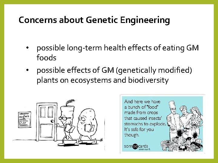 Concerns about Genetic Engineering • possible long-term health effects of eating GM foods •