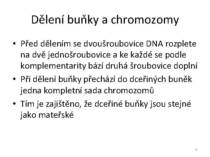 Dělení buňky a chromozomy • Před dělením se dvoušroubovice DNA rozplete na dvě jednošroubovice